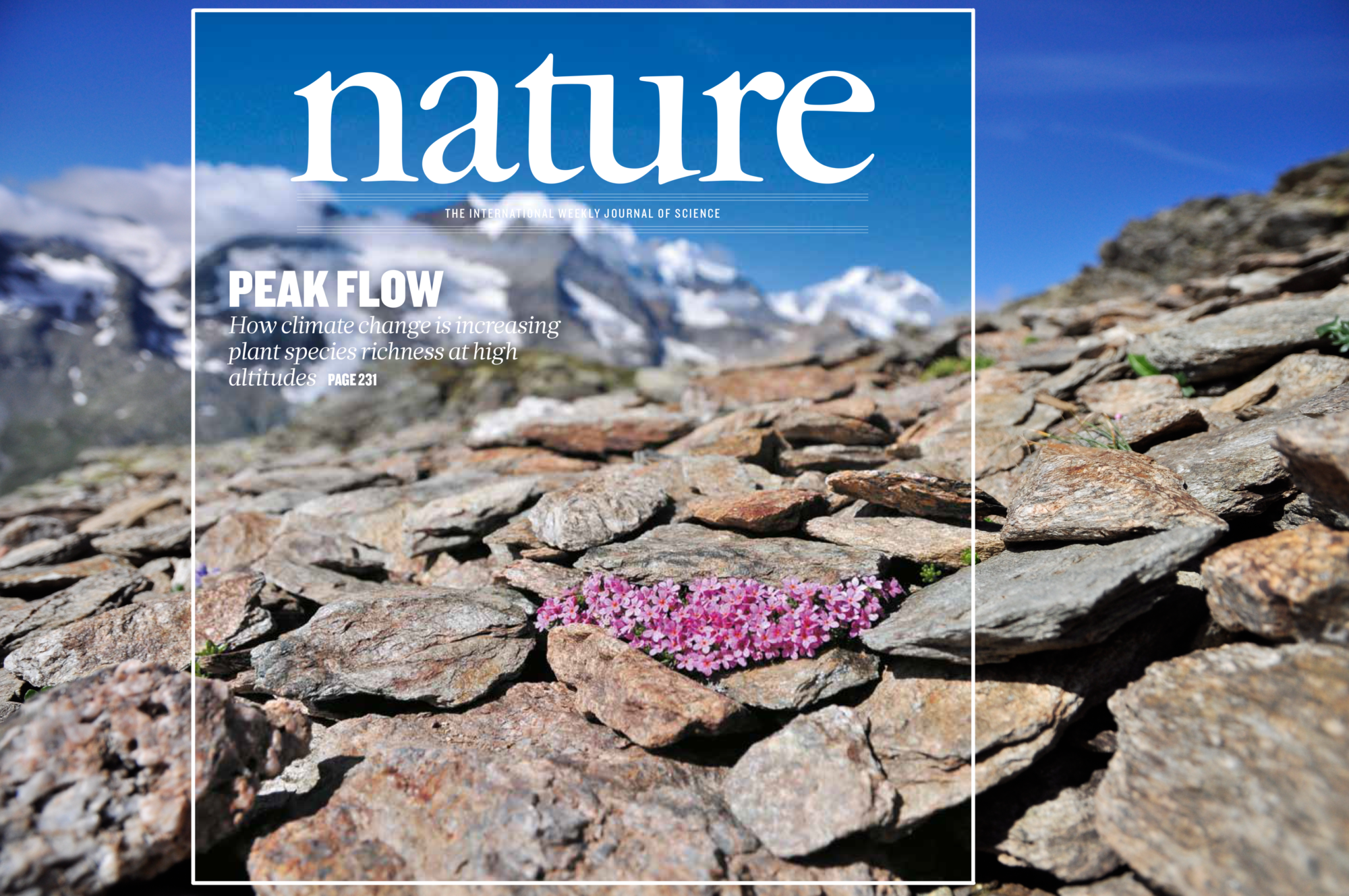Zum Artikel "Auswirkungen des Klimawandels in alpinen Systemen"