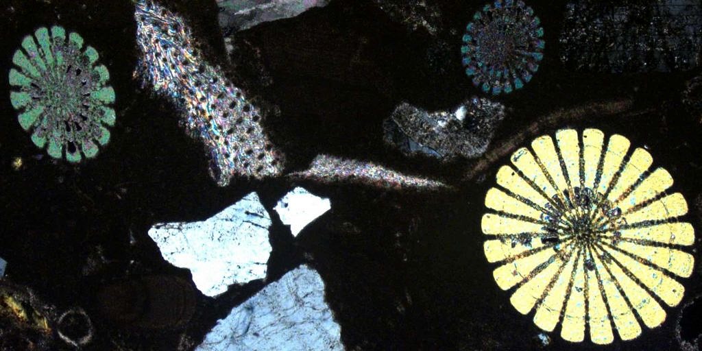 Karbonatsedimentologie & Mikrofaziesanalyse