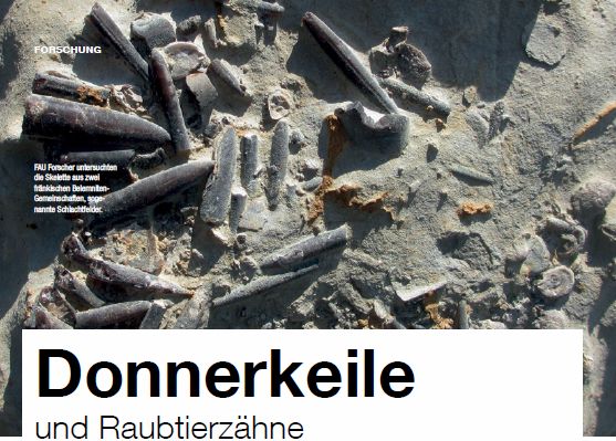 Zum Artikel "Donnerkeile und Raubtierzähne"