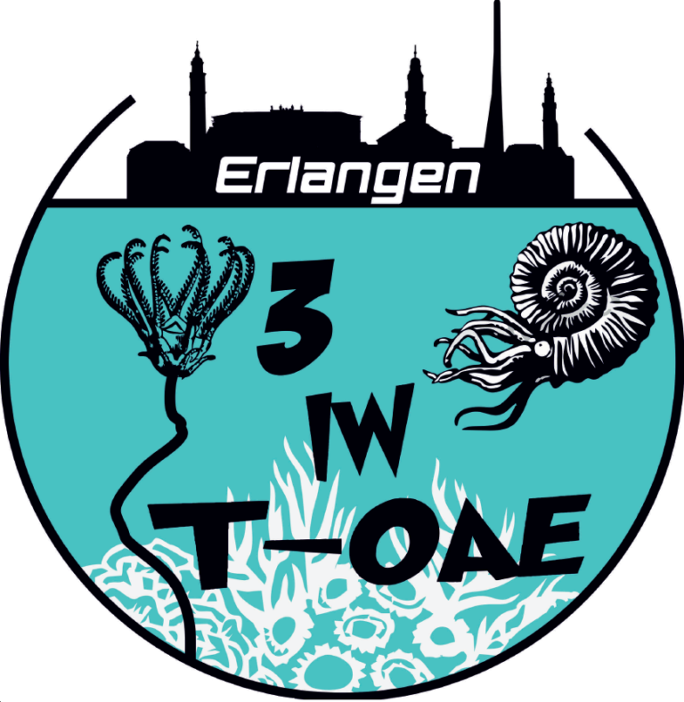 Die Anmeldung für den 3rd International Workshop on the T-OAE  ist eröffnet