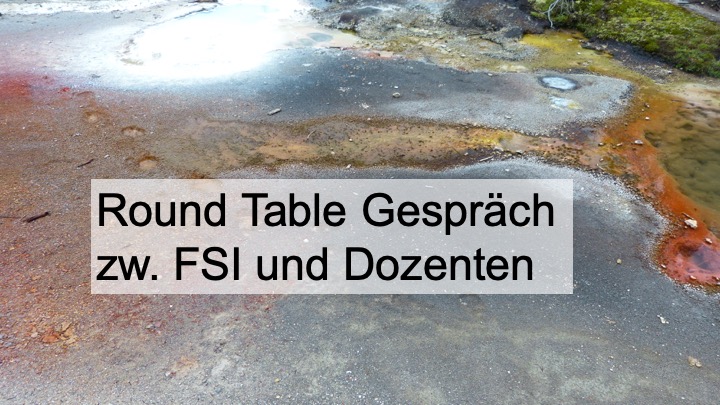 Zum Artikel "Round Table mit der FSI und Dozenten am 4. Juni"