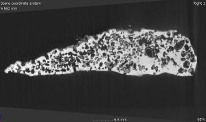 Schnitt durch einen bioerodierten Kalkstein