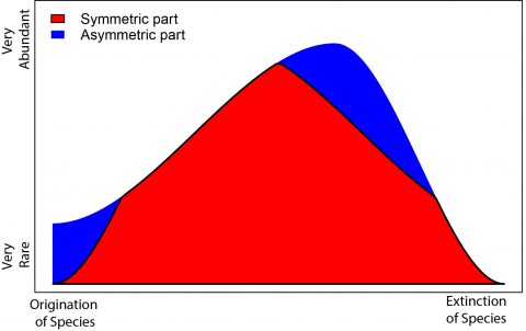 Zum Artikel "Niklas Hohmann​ – „Enforced symmetry: the necessity of symmetric waxing and waning“,  PeerJ"