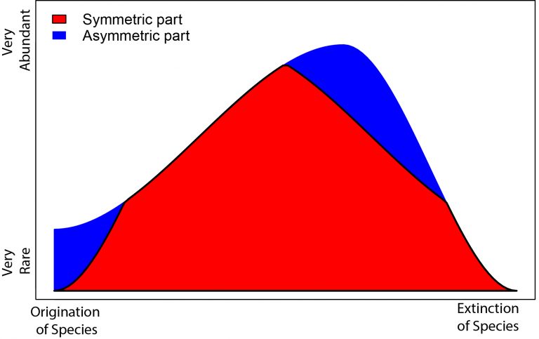 Niklas Hohmann​ – „Enforced symmetry: the necessity of symmetric waxing and waning“,  PeerJ