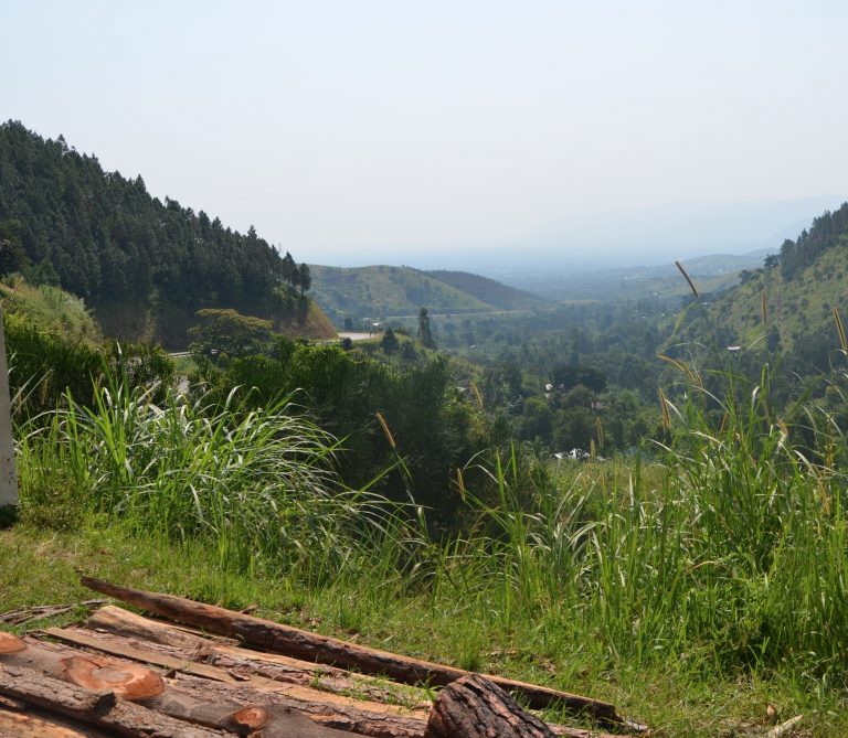 Nature Research Highlights: Ost Afrikanisches Rift System alt!