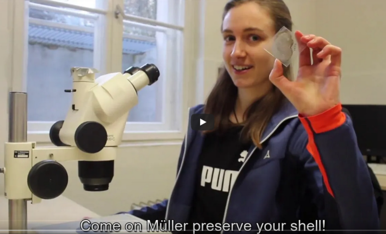 PalaeoFAU’s Ammoniten-Video gewann den 2. Platz in der Palaeovision Fossil Contest!!!!