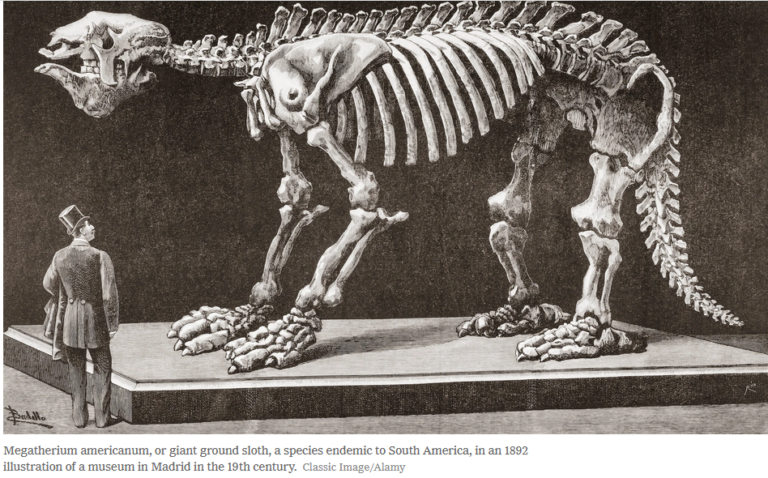 New York Times: „Die Entkolonialisierung der Jagd nach Dinosauriern und anderen Fossilien“ – Nussaibah Raja Schoob, GZN
