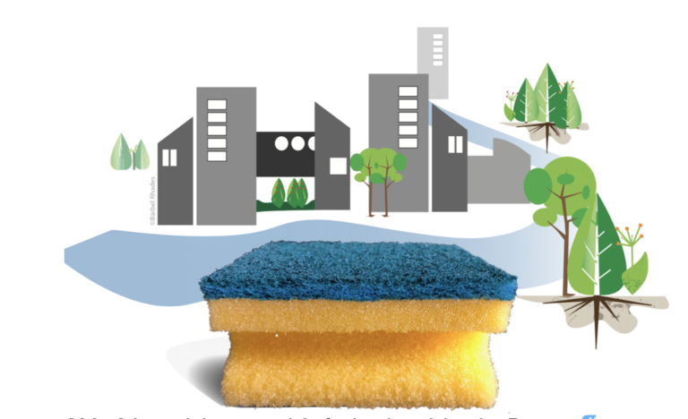 Sponge City