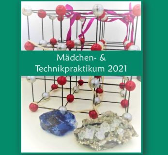 Zum Artikel "Die Geowissenschaften präsentieren sich beim Mädchen- und Technik-Praktikum"