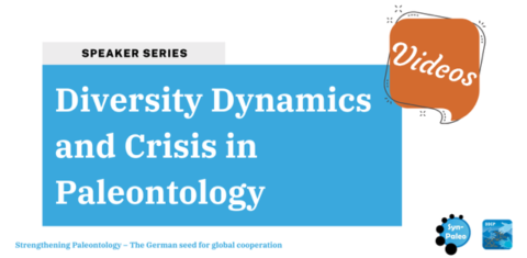 Zum Artikel "Vortragsreihe „Diversity Dynamics and Crisis in Paleontology“"