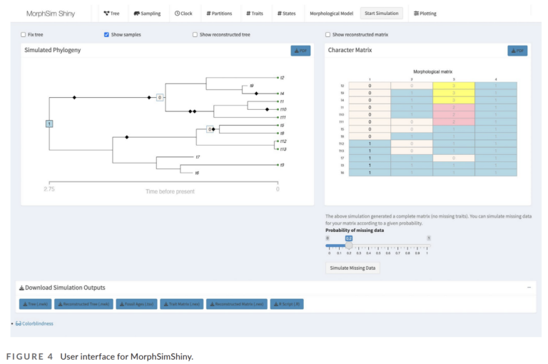 MorphSim: Ein R-Paket zur Simulation morphologischer Daten